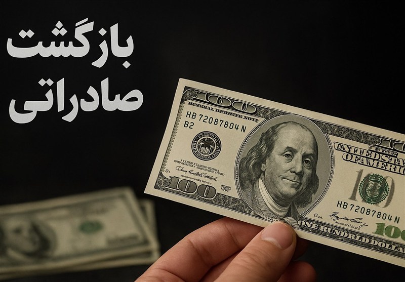 پیشنهاد افزایش نرخ خوراک برای پتروشیمی های متخلف بازگشت ارز